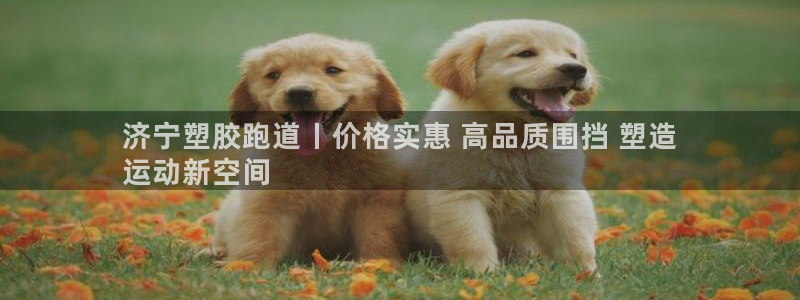 尊龙凯时品牌介绍：济宁塑胶跑道丨价格实惠 高品质围挡 塑造
运动新空间