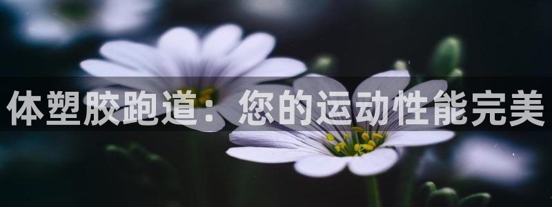 尊龙凯时几百万怎么下款：体塑胶跑道：您的运动性能完美