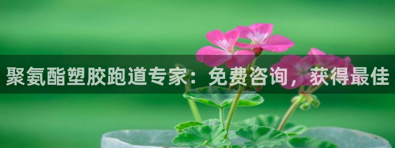 尊龙软件下载：聚氨酯塑胶跑道专家：免费咨询，获得最佳