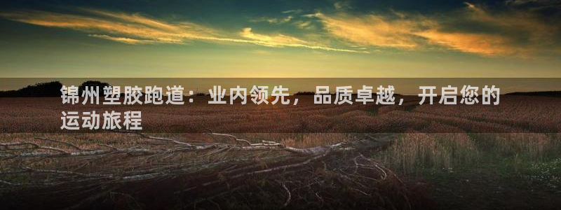 尊龙凯时注册：锦州塑胶跑道：业内领先，品质卓越，开启您的
运动旅程