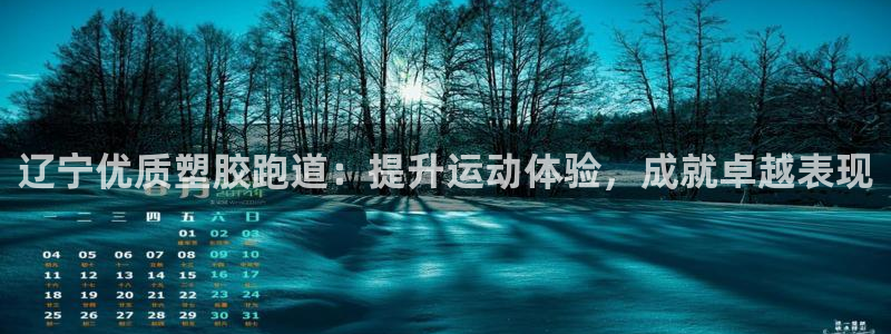 凯时尊龙平台登录：辽宁优质塑胶跑道：提升运动体验，成