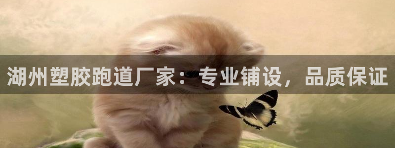 尊龙公司：湖州塑胶跑道厂家：专业铺设，品质保证