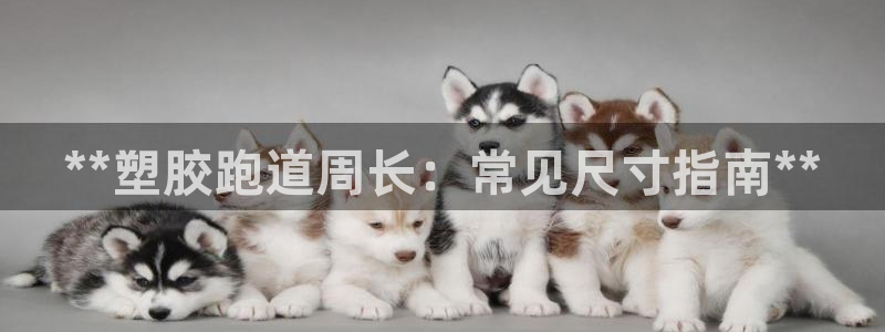 凯时k8娱乐唯一官网：**塑胶跑道周长：常见尺寸指南**