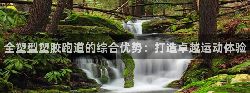 尊龙凯时是哪个国家的：全塑型塑胶跑道的综合优势：打造卓越运动体验