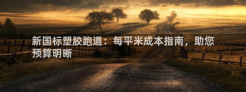 尊龙人生就是博l：新国标塑胶跑道：每平米成本指南，助