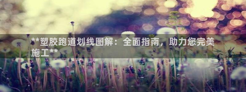 尊龙在线登录官网：**塑胶跑道划线图解：全面指南，助力您完美
施工**