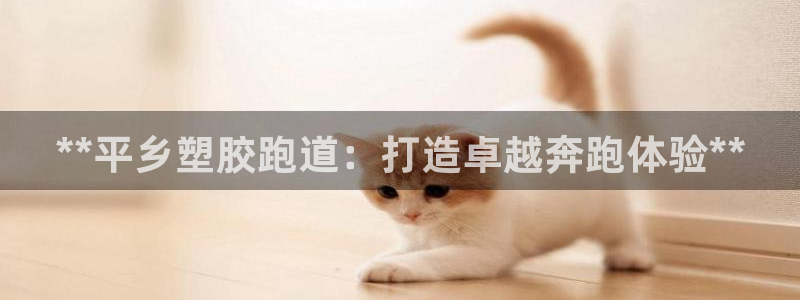 尊龙人生就是博一下首页：**平乡塑胶跑道：打造卓越奔