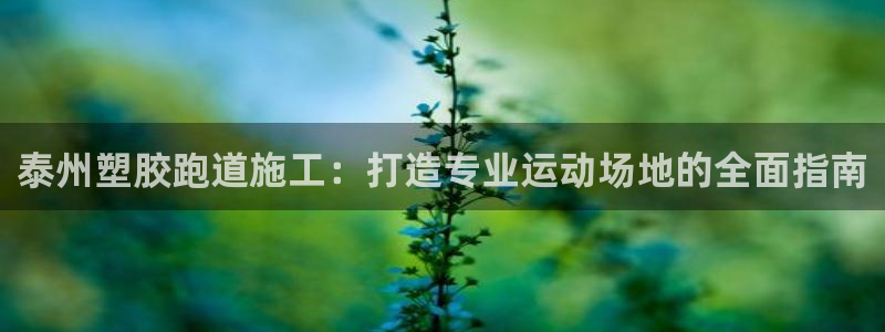 agz6尊龙凯时集团：泰州塑胶跑道施工：打造专业运动