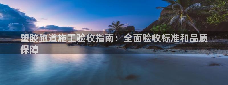 尊龙手机端下载：塑胶跑道施工验收指南：全面验收标准和