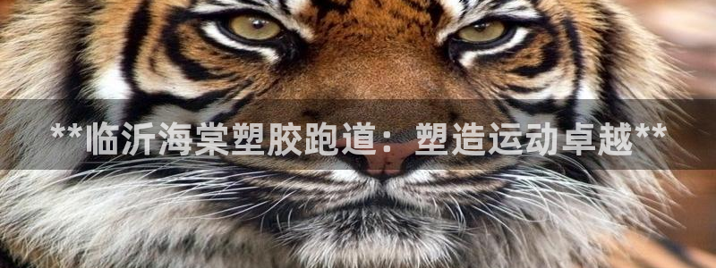 尊龙网站注册站注册：**临沂海棠塑胶跑道：塑造运动卓