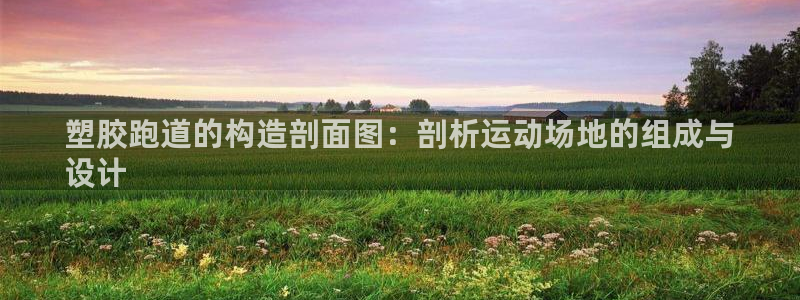 凯时赢来就送38：塑胶跑道的构造剖面图：剖析运动场地的组成与
设计