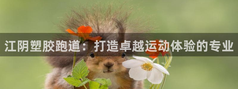 凯时k66官方发布：江阴塑胶跑道：打造卓越运动体验的专业