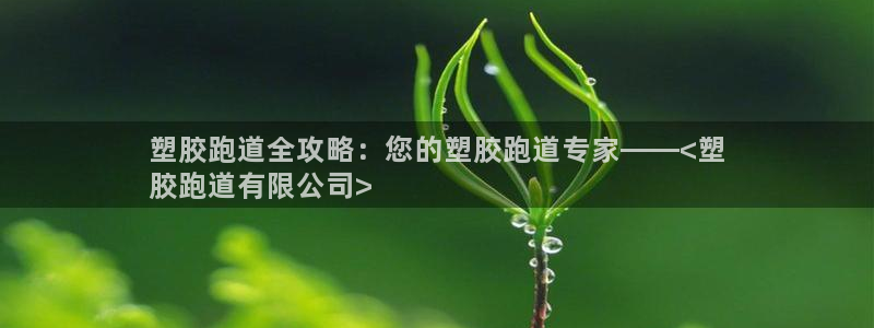 尊龙人生就是博网站：塑胶跑道全攻略：您的塑胶跑道专家——<塑
胶跑道有限公司>