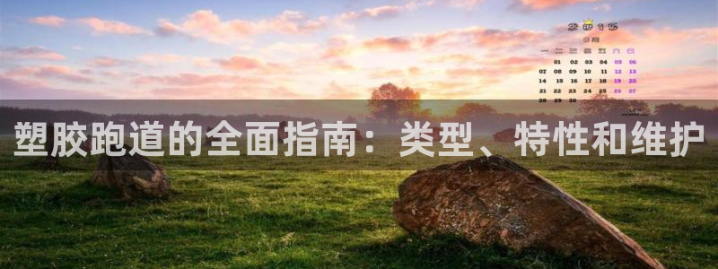 尊龙凯时始人生就是博：塑胶跑道的全面指南：类型、特性