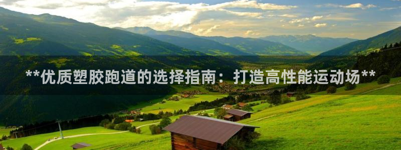 尊龙官网地址：**优质塑胶跑道的选择指南：打造高性能运动场**