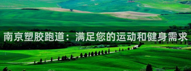 尊龙现金d88：南京塑胶跑道：满足您的运动和健身需求