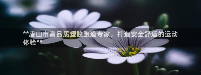 尊龙凯时 人生就是搏客服：**唐山市高品质塑胶跑道专家，打造安全舒适的运动
体验**