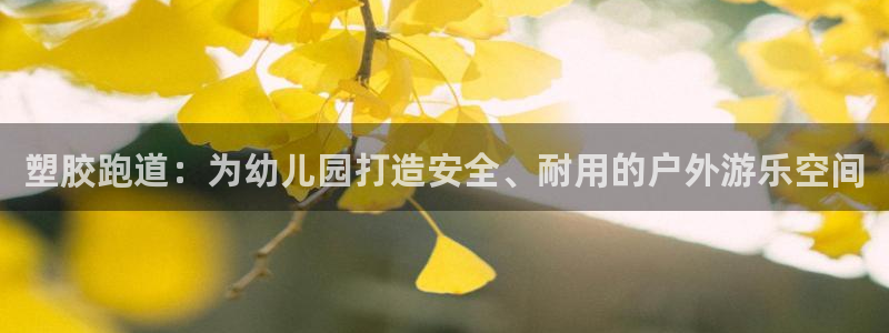 尊龙d88现金可来就送38：塑胶跑道：为幼儿园打造安全、耐用的户外游乐空间