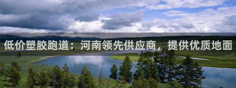 尊龙凯时捕鱼游戏能玩吗：低价塑胶跑道：河南领先供应商