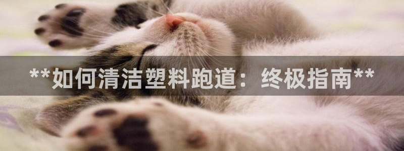 尊龙官网注册：**如何清洁塑料跑道：终极指南**