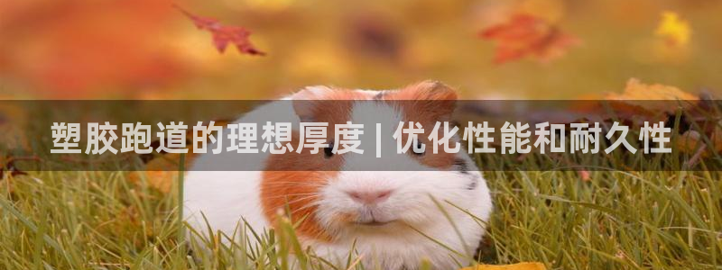 尊龙凯时最新平台登陆：塑胶跑道的理想厚度 | 优化性能和耐久性