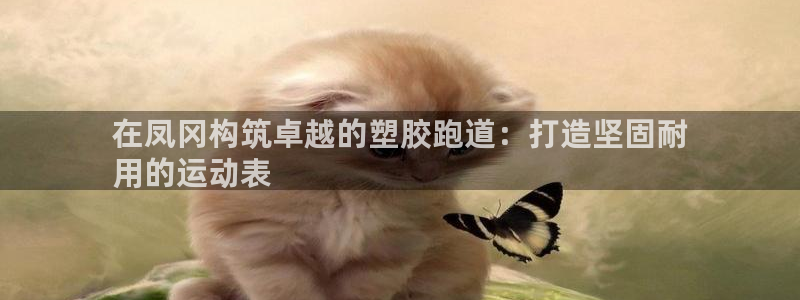 尊龙凯时人生就是搏首页：在凤冈构筑卓越的塑胶跑道：打造坚固耐
用的运动表