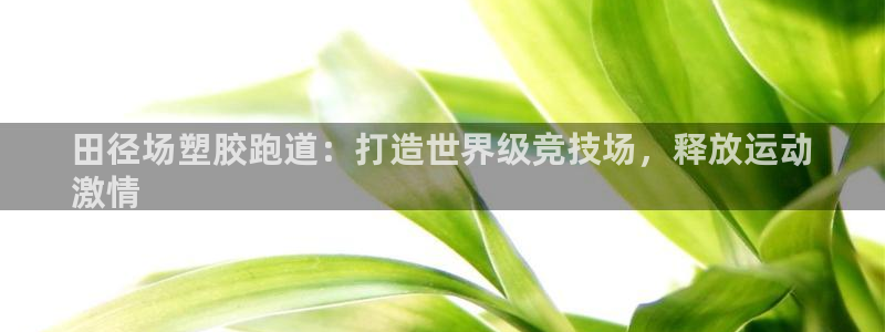 尊龙多少岁：田径场塑胶跑道：打造世界级竞技场，释放运