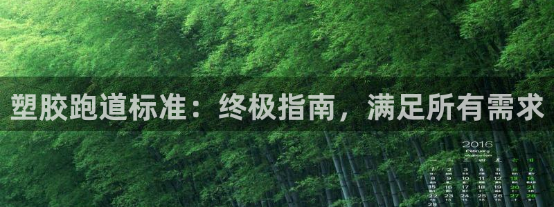 尊龙凯时只输不赢：塑胶跑道标准：终极指南，满足所有需求
