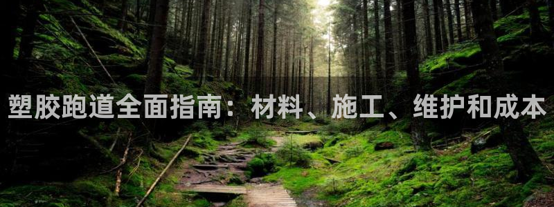 尊龙凯时电竞：塑胶跑道全面指南：材料、施工、维护和成本