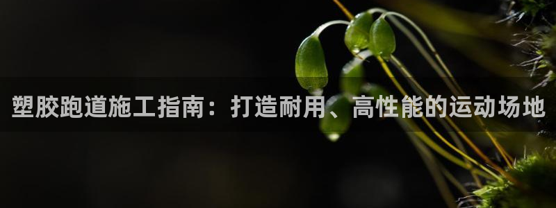 尊龙app|首选agdaohang：塑胶跑道施工指南：打造耐用、高性能的运动场地