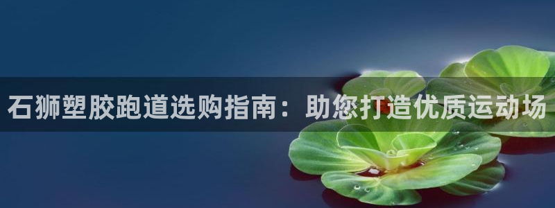 尊龙凯时官网版登录：石狮塑胶跑道选购指南：助您打造优质运动场