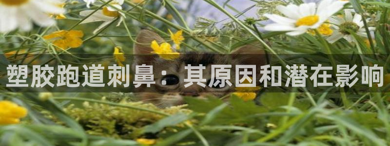 尊龙-人生就是博：塑胶跑道刺鼻：其原因和潜在影响