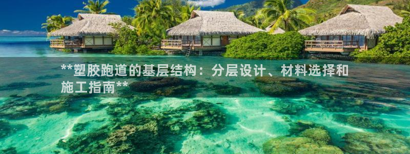 尊龙官网国际：**塑胶跑道的基层结构：分层设计、材料选择和
施工指南**