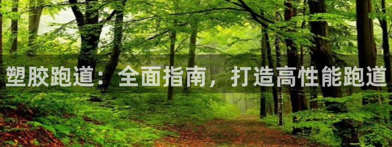 尊龙登录会员登录：塑胶跑道：全面指南，打造高性能跑道