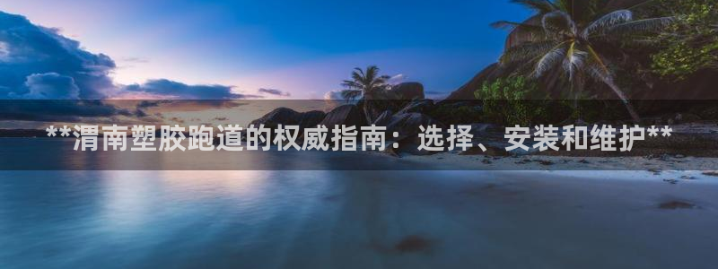 d88尊龙官网手机app：**渭南塑胶跑道的权威指南：选择、安装和维护**