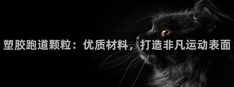 尊龙凯时z6官网：塑胶跑道颗粒：优质材料，打造非凡运动表面