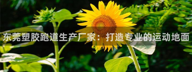 尊龙凯时口碑好吗：东莞塑胶跑道生产厂家：打造专业的运