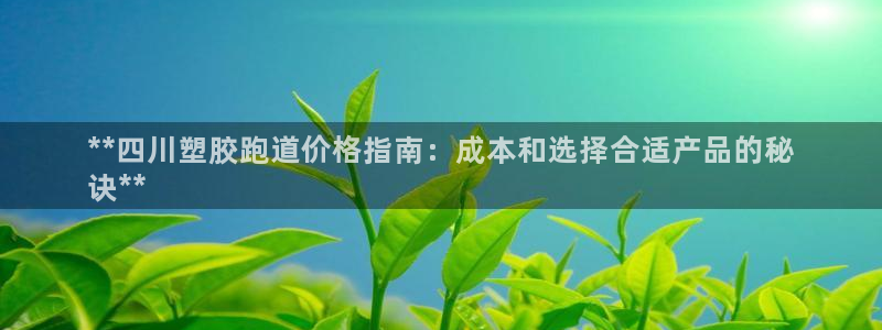 尊龙物流怎么样：**四川塑胶跑道价格指南：成本和选择