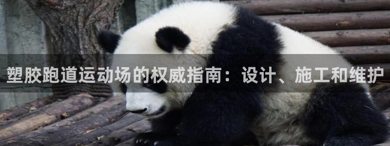 尊龙凯时取款有要求吗：塑胶跑道运动场的权威指南：设计、施工和维护