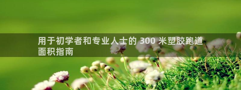 尊龙凯时输了100万