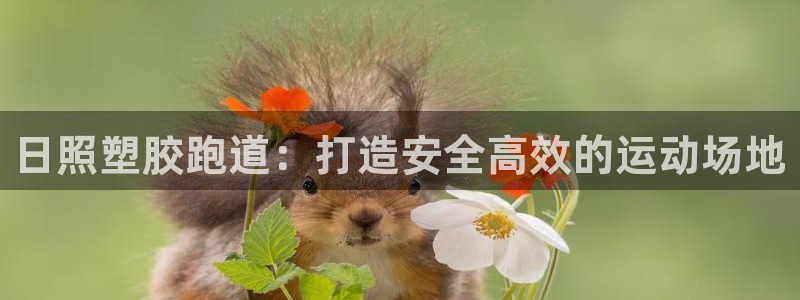 尊龙人生就是博ag：日照塑胶跑道：打造安全高效的运动