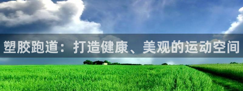 尊龙凯时平台怎么样：塑胶跑道：打造健康、美观的运动空间