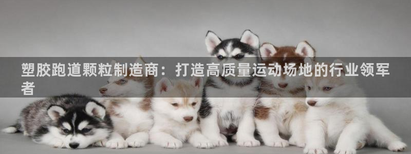 尊龙凯时泰安：塑胶跑道颗粒制造商：打造高质量运动场地