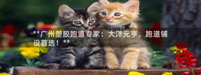 尊龙版末代皇帝：**广州塑胶跑道专家：大洋元亨，跑道铺
设首选！**