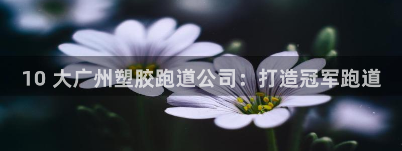 尊龙凯时账号异常审核提不了款怎么办：10 大广州塑胶跑道公司：打造冠军跑道