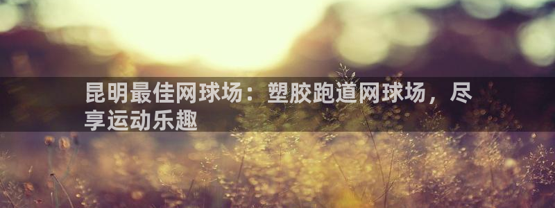 z6尊龙凯时：昆明最佳网球场：塑胶跑道网球场，尽
享