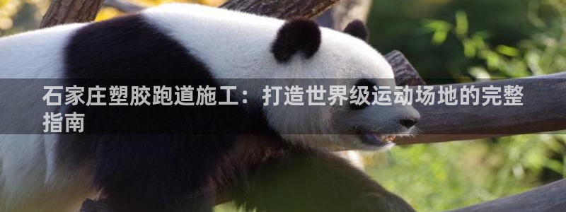 尊龙人生就是博旧版网址：石家庄塑胶跑道施工：打造世界