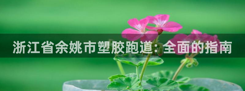 尊龙z6网址：浙江省余姚市塑胶跑道: 全面的指南