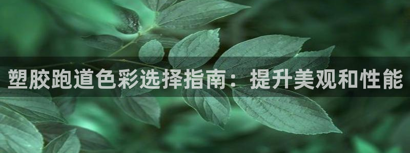 尊龙凯时企业文化：塑胶跑道色彩选择指南：提升美观和性能