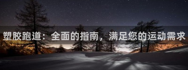 尊龙人生就是博ag旗舰厅：塑胶跑道：全面的指南，满足